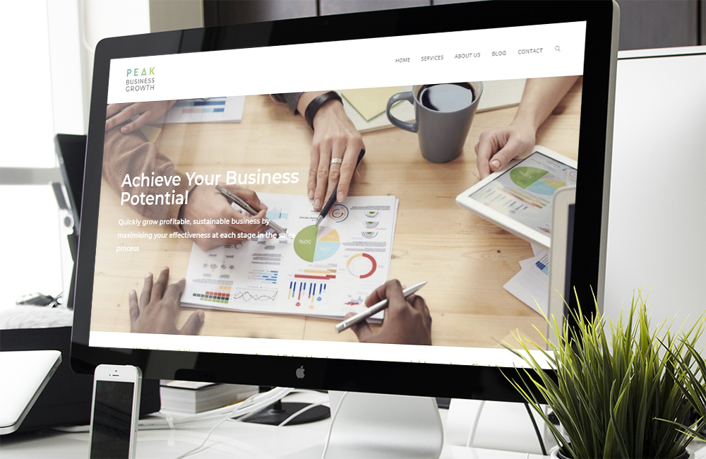 Peak Business Growth: logo in siteu on homepage